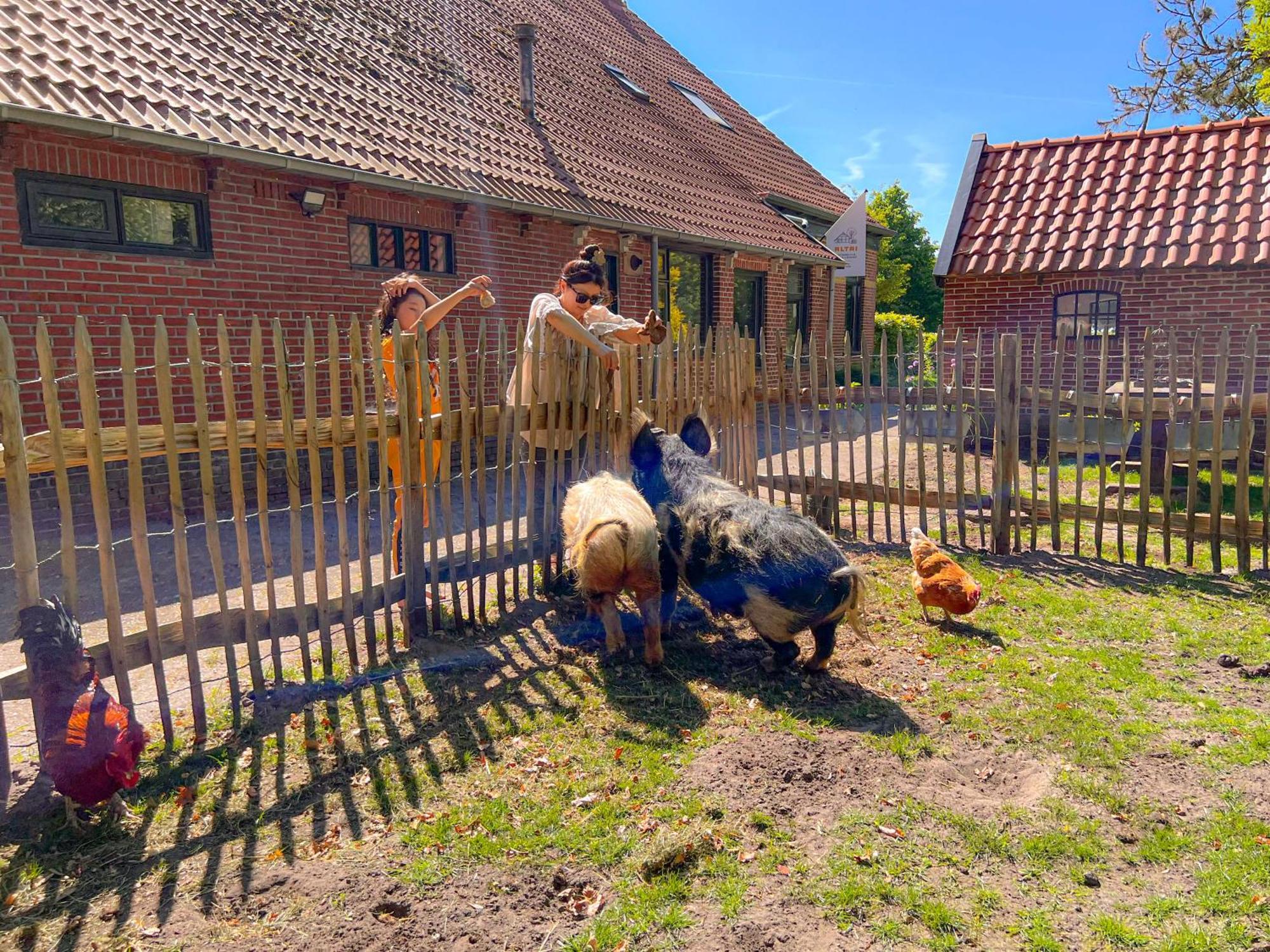 Gastenverblijf In Boerderij In Oost-Groningen Wedde Eksteriør bilde
